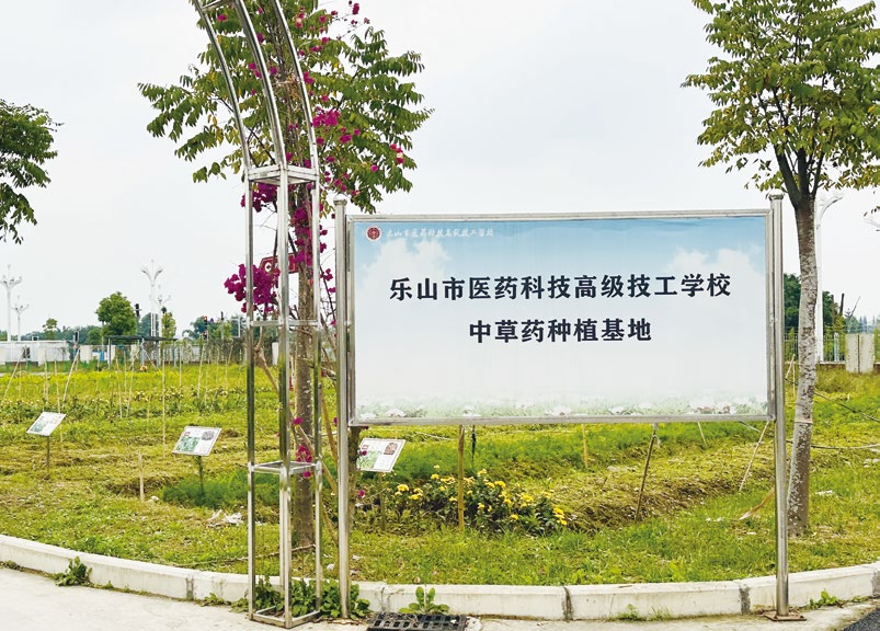 乐山医科校实训基地 - 第5张